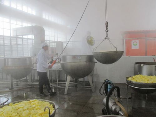 新年新氣象，飲料廠與酒店管理共譜開(kāi)年新篇章